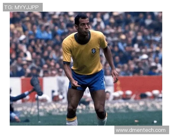 巴西传奇足球明星的辉煌人生与足球梦想的电影之旅